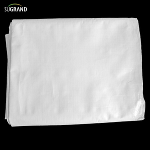 PE White Tarpaulin в рулоне для сельскохозяйственных промышленных обложков на открытом воздухе