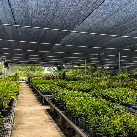 farm shade net.jpg
