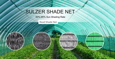 How Is Ground Cover UV Resistance Tested.png