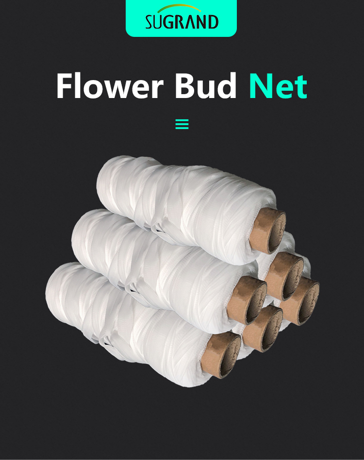 Цветочная сеть 1