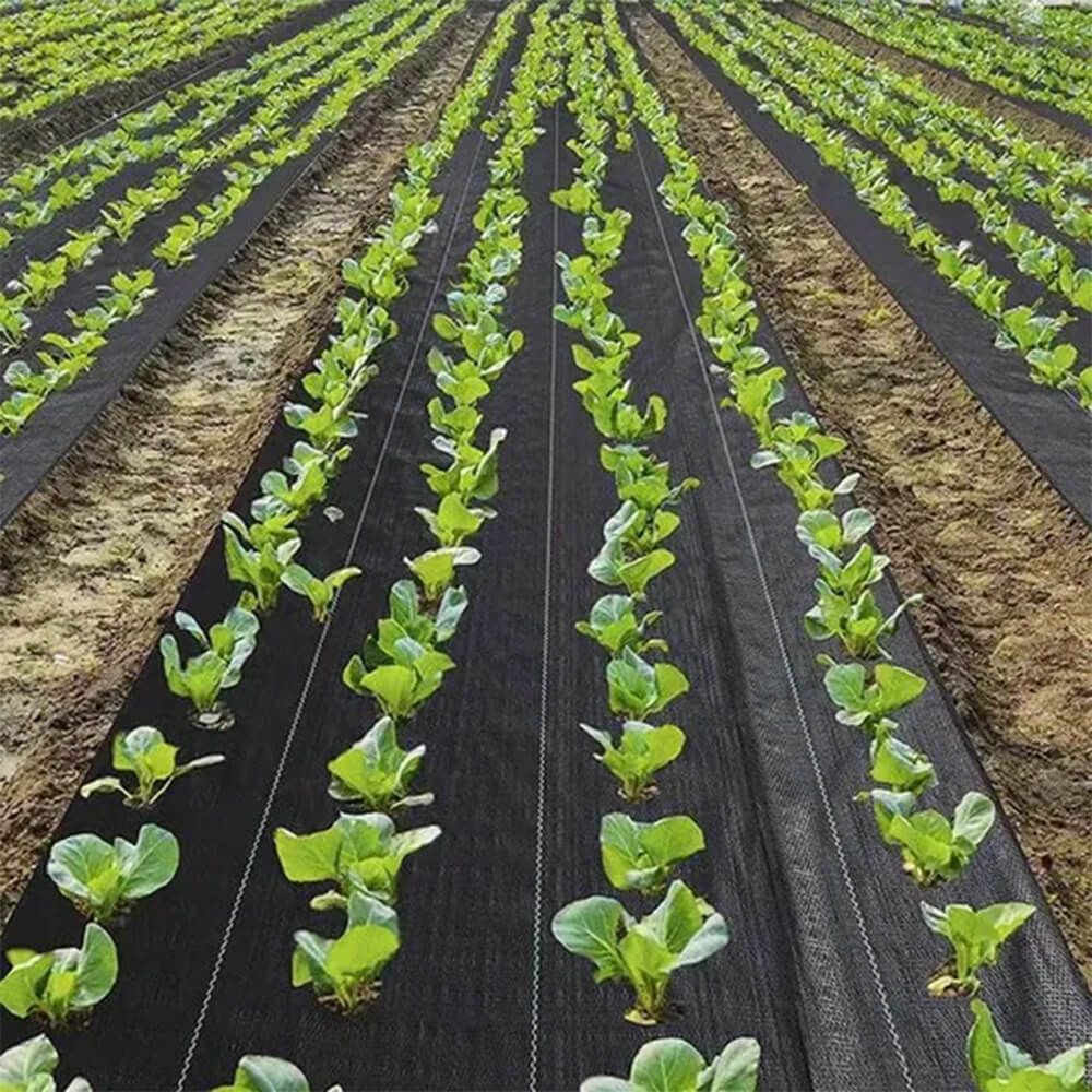 Фабрика темно-зеленых почвопокровных ландшафтных тканей