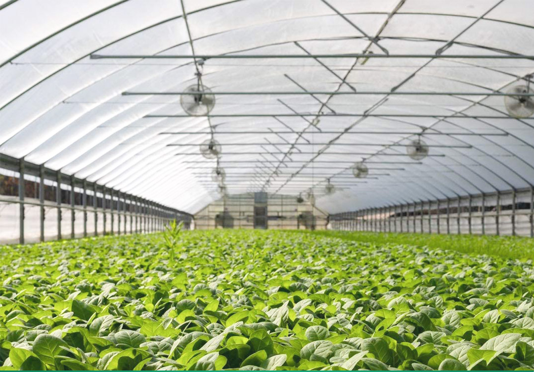 сетка от насекомых1