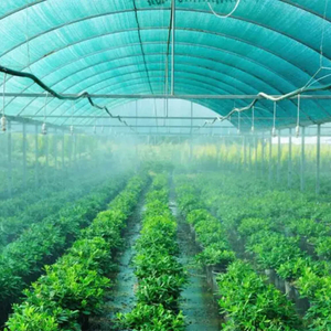 Зеленая лента, трехигольная теневая сетка