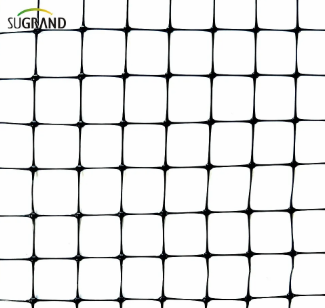 сетка для птиц