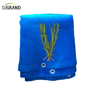 Безопасность защиты пластика 50 гсм синие каркасы сеть 