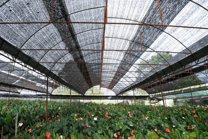 черная теневая сетка