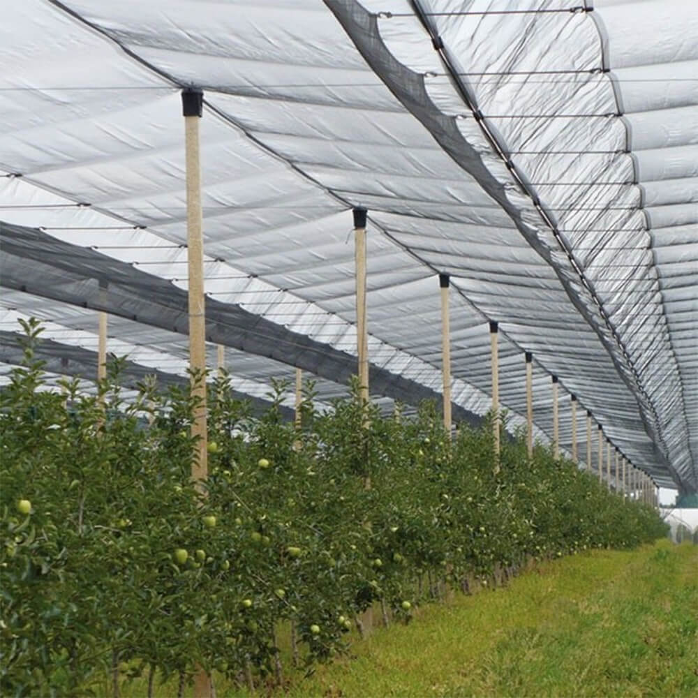 Вязаная сетка от града премиум-класса для виноградников