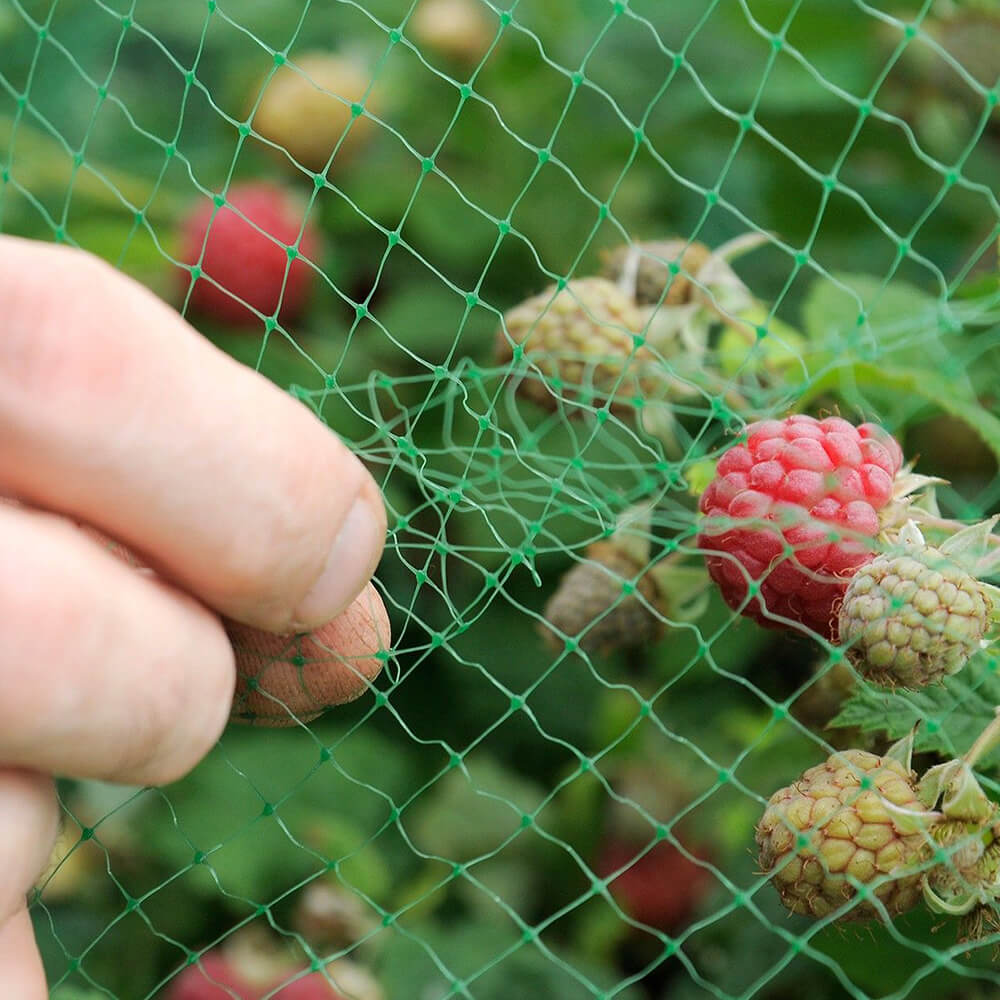 Сетка против птиц для сада и фермы