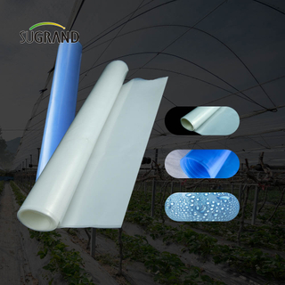 Фабрика Direct 30microns - 250mrons UV Greenhouse Film сельскохозяйственной тепличный фильм 