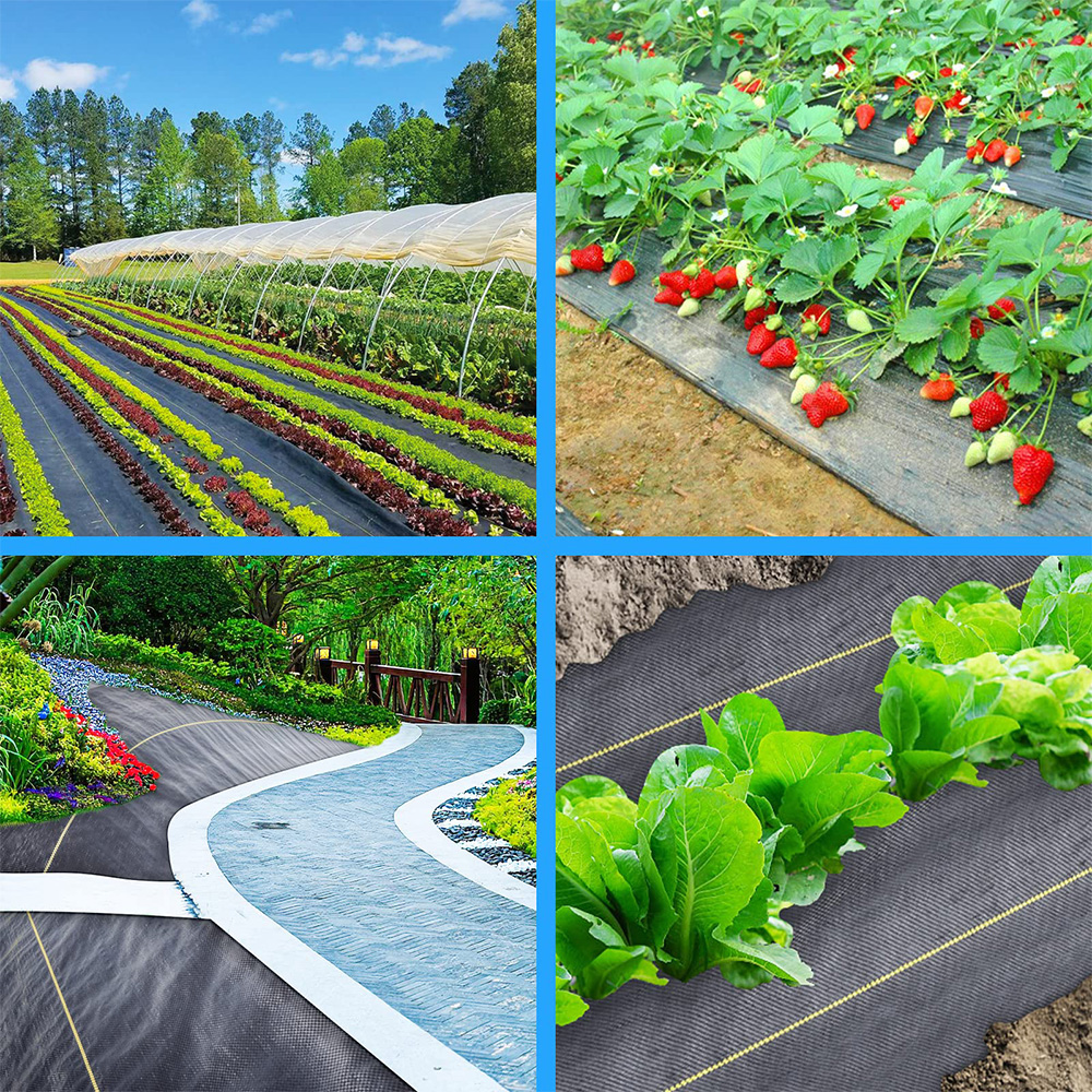 Полипропилен (ПП) тканый барьер из сорняков с сорняками