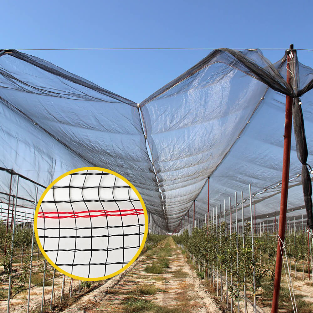 Вязаная сетка от града премиум-класса для виноградников