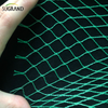 Green Bird Net 4x30M Bird Net для поставщиков рынка Таиланда