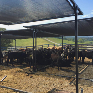 Фабрика трикотажных монотеневых сеток для сельского хозяйства