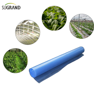  6 мил полиэтиленовая тепличная пленка голубая пластиковая пленка парниковой теплицы 