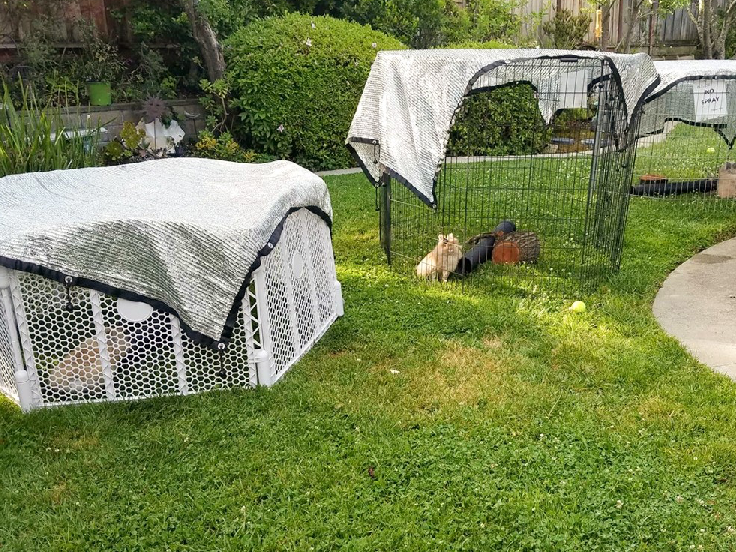 Лучшие производители сельскохозяйственного оттенка в Бангалоре