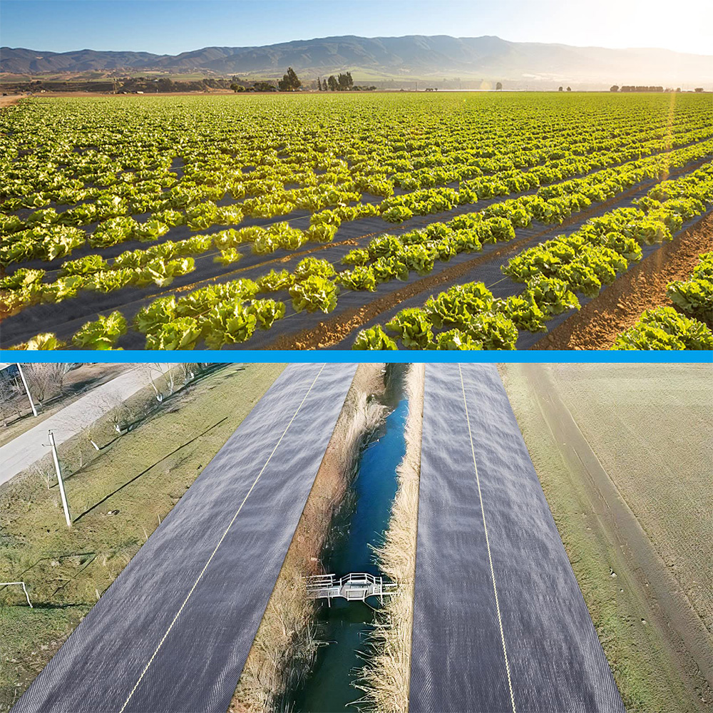 Полипропилен (ПП) тканый барьер из сорняков с сорняками