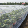 Сетка от насекомых HDPE 40 для тепличных овощей