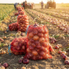 Оптовая сумка Leno Bag Onion Bag Картофельная сетка